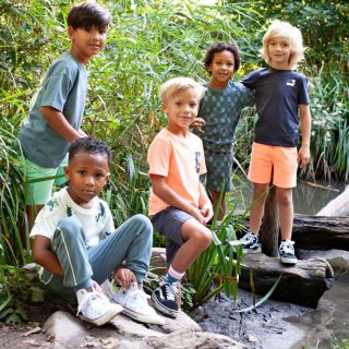 Sfeer S26S3 71700508 72100192 71700499 72200260 71700502 72100188 70400066 71700510 72100191 71700506 72100190 1