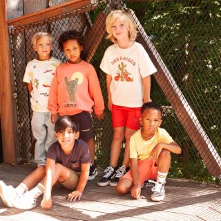 Sfeer S26S2 71700496 72200261 71700495 72100187 70400065 71600653 72100183 71700488 72100184 71700497 72100158 70400065 1