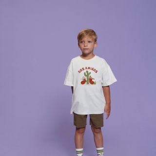 Sfeer S26S2 71700488 72100187 70400065 2