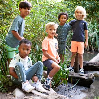 Sfeer S26S3 71700508 72100192 71700499 72200260 71700502 72100188 70400066 71700510 72100191 71700506 72100190 1