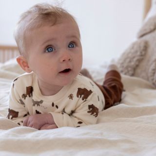 Sfeer W2522 51602626 52202424 50400344 3