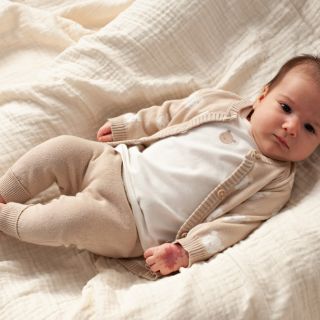 Sfeer S2613 51300558 51602763 52202535 2