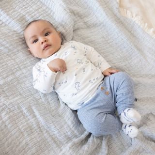 Sfeer S2614 51602721 52202493 50400361 1