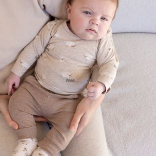 Sfeer W2512 51602565 52202377 50400334